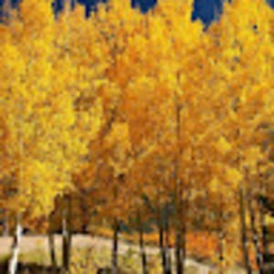 Meet your Posher, Kirsten